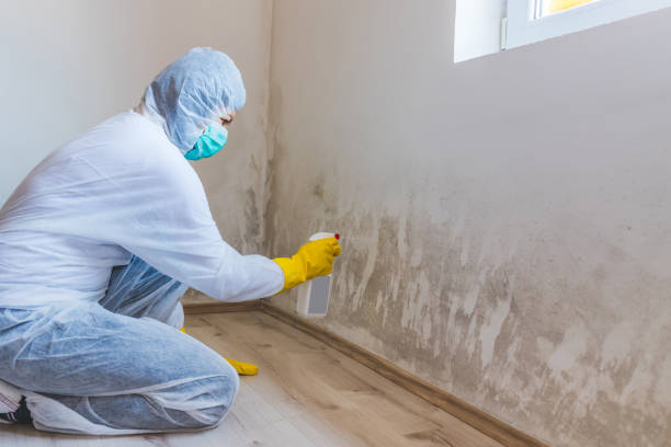 Mold inspector in Indian Head performing thermal imaging